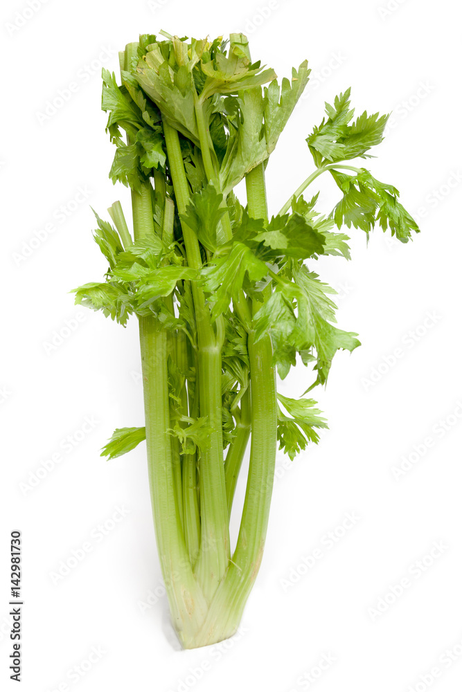 Celery on white background isolated