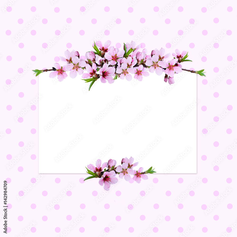 Fototapeta premium Pink peach twigs line arrangements and a card