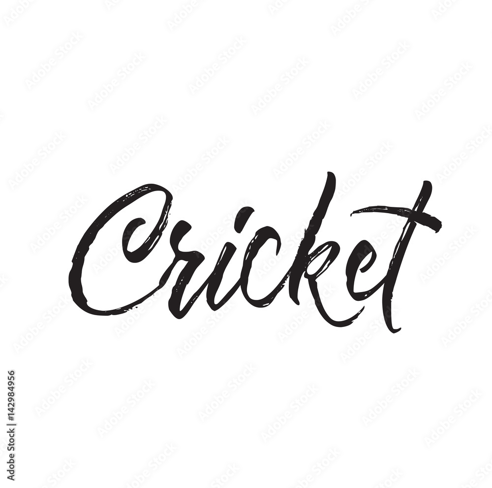 cricket, text design. Vector calligraphy. Typography poster. Stock