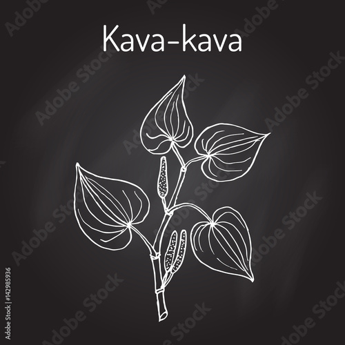 Kava-kava piper methysticum , medicinal plant
