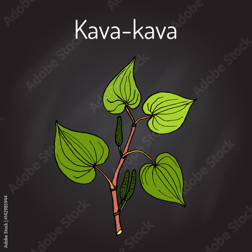 Kava-kava piper methysticum , medicinal plant