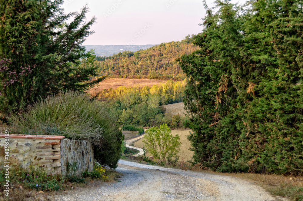 Dirt Road in the Tuscan countryside in Uopini near Siena, Italy