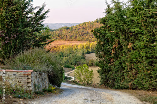 Dirt Road in the Tuscan countryside in Uopini near Siena  Italy