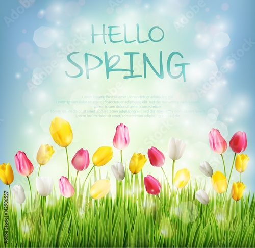 Hello spring with tulip flower on blurred background 