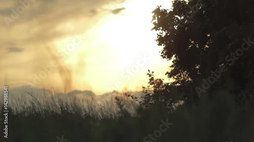 Background, beautiful sunset, trees against a beautiful sunset background