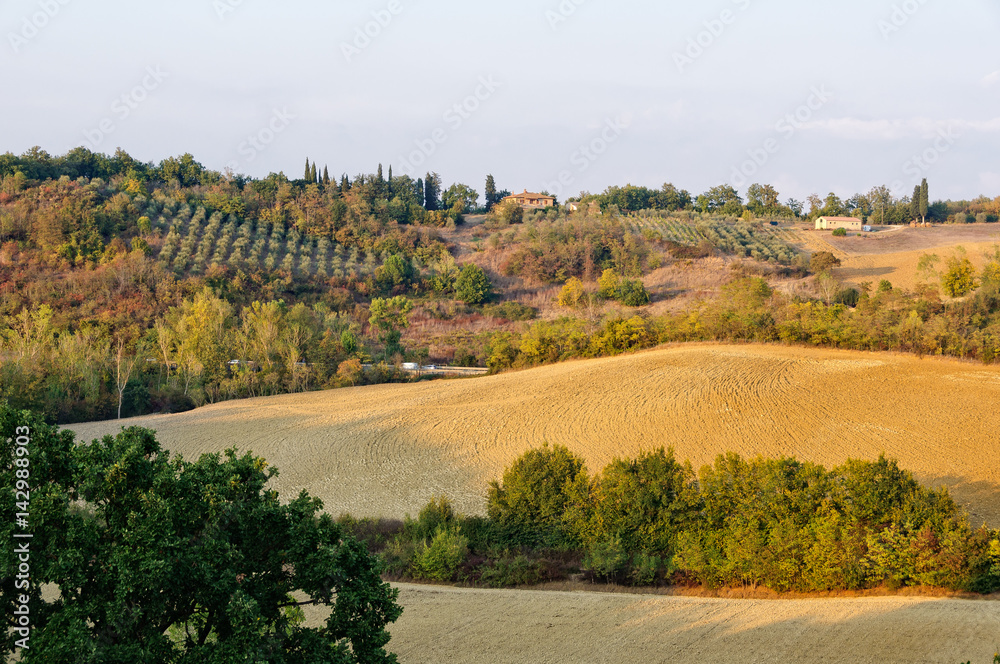 Autumn Tuscan countryside near Siena with farm houses, olive groves and arable land