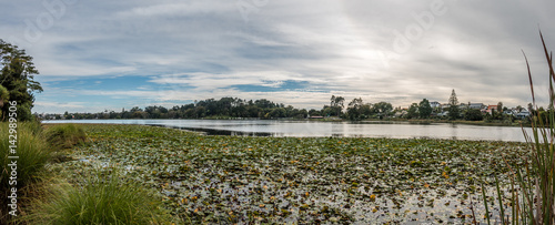 Hamilton Lake Domain, New Zealand
