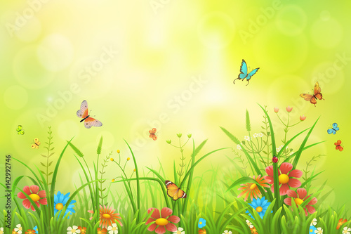 Summer or spring meadow background with grass, flowers and butterflies