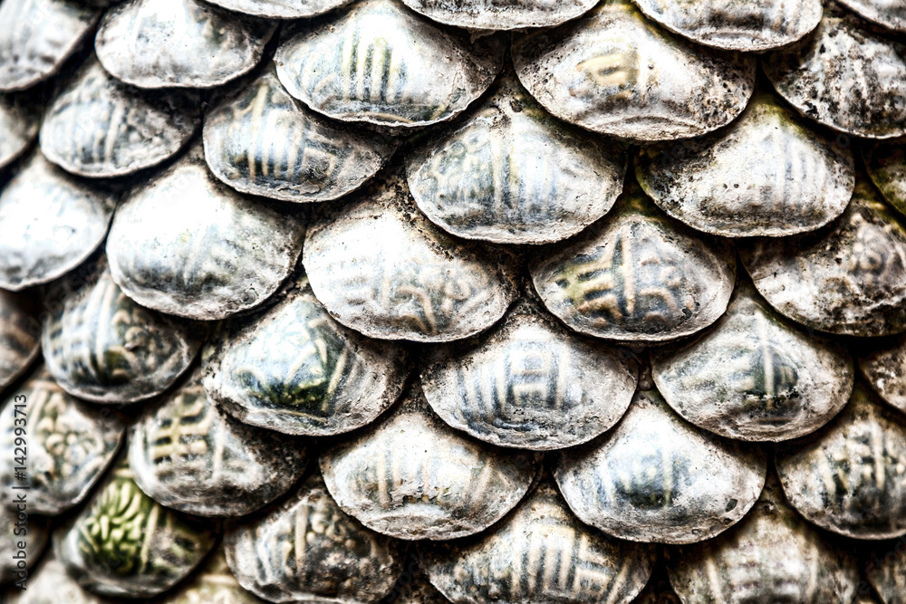Decorative surface made of sea shells. Abstract natural background and texoutra, rustic effect