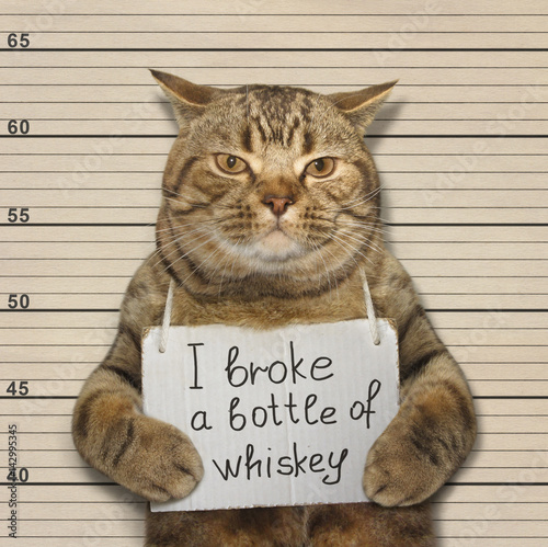 The bad cat broke a bottle of expensive whiskey. He was arrested for it.