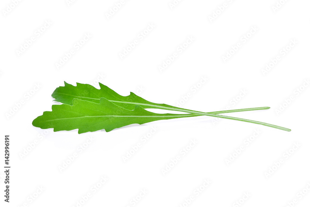 wild rocket leaves isolated on white backbground wild rocket leaves isolated on white backbground