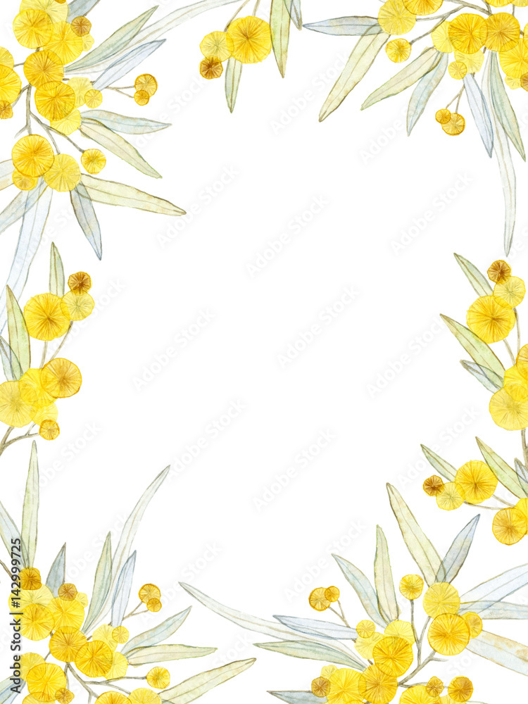 Watercolor frame with mimosa brunches isolated on white