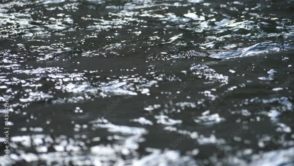 HD Floating Water of a small river in super slow motion HD Floating Water of a small river in super slow motion