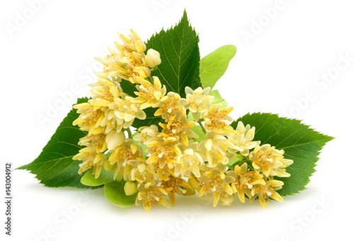 Linden flowers