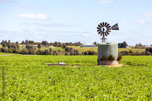 Windmill, Australian Farm