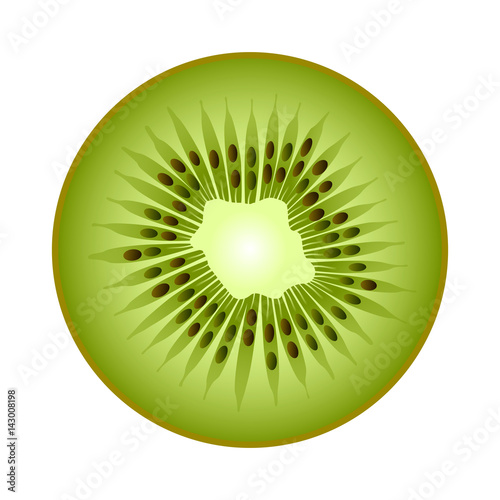 Isolated realistic colored circle round slice of green color juicy kiwi on white background.