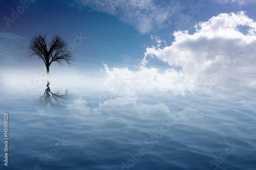 Einsamer Baum spiegelt sich im Wasser