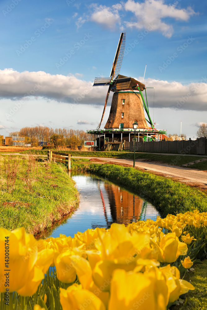 Naklejka premium Tradycyjny holenderski wiatrak z tulipanami w Zaanse Schans, obszar Amsterdamu, Holandia