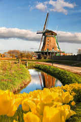 Stickers Amsterdam Hollandse molen met tulpen in Zaanse Schans  © Tomas Marek