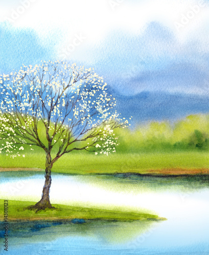 Watercolor landscape. Flowering tree by lake © Marina