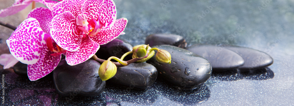 Spa concept with zen stones and orchid. - obrazy, fototapety, plakaty 