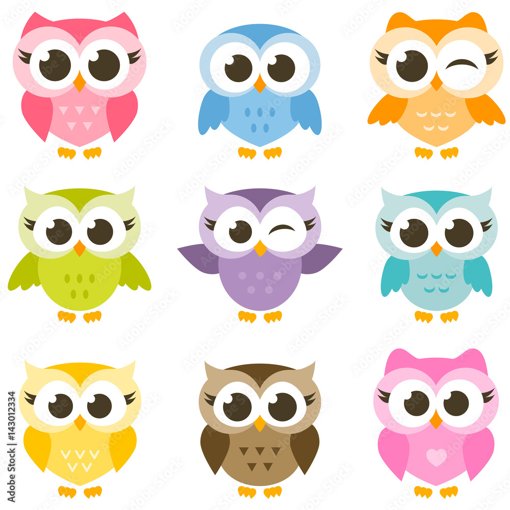 set of cute colorful owls isolated on white background
