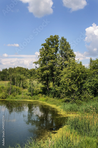 Bank of small forest lake © Vic