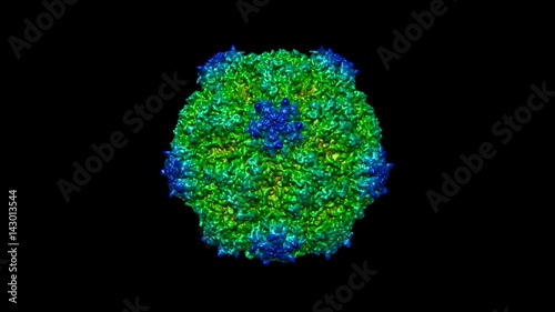 Tobacco ringspot virus capsid molecular modell rotating, seamless loop. Tobacco ringspot virus is a plant pathogenic virus photo