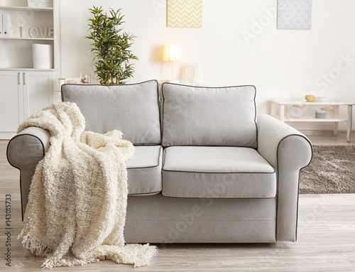 Modern cozy sofa in living ...