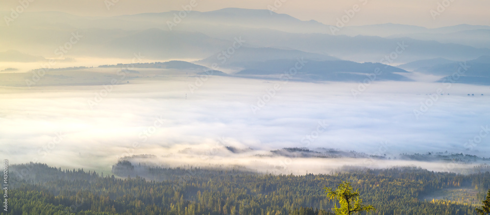 Fog in the morning, turning into a mountain valley in the tatras in Slovakia,panorama