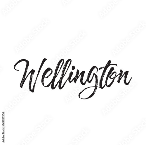 wellington, text design. Vector calligraphy. Typography poster.text design. Vector calligraphy. Typography poster.
