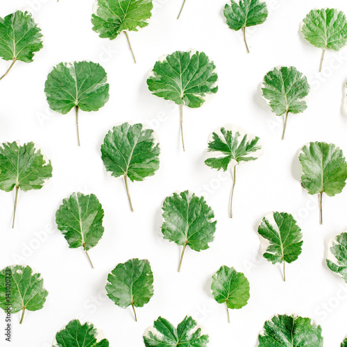 Floral pattern made of green leaves, branches on white background. Flat lay, top view. Leaf pattern texture.