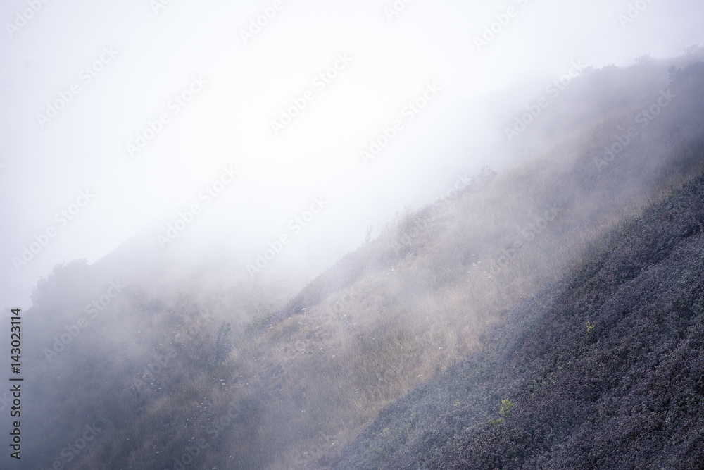 view of mountain forests covering by fog for background