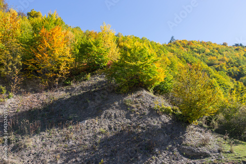 Colorful forest in a beautiful autumn landscape in Svaneti. Georgia