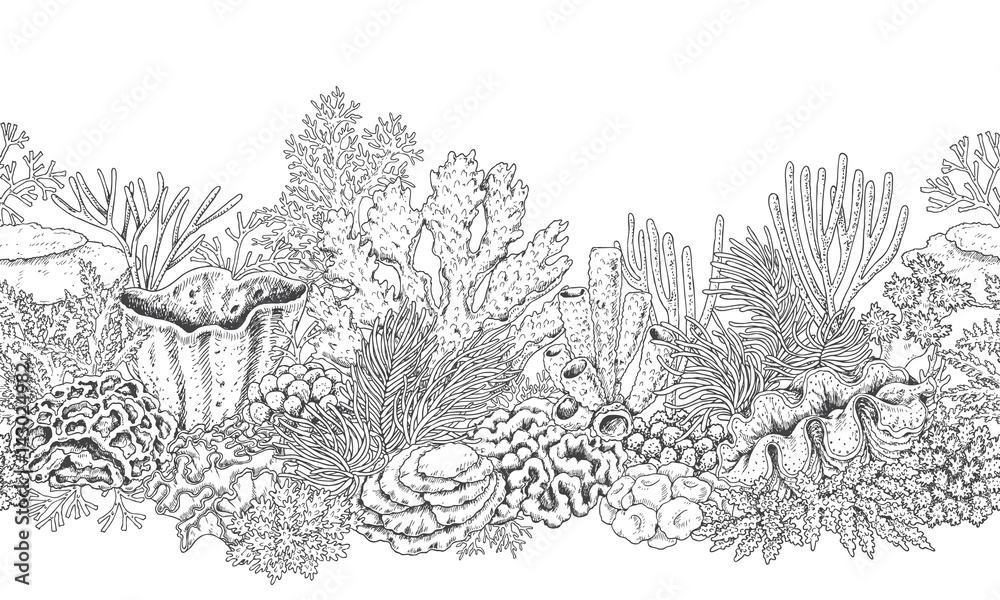 Naklejka premium Coral Reef Line Horizontal Pattern