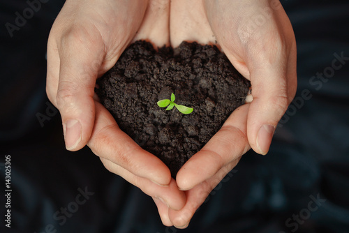 Focus on Little seedling in black soil on womans hand. Earth day and Ecology concept.