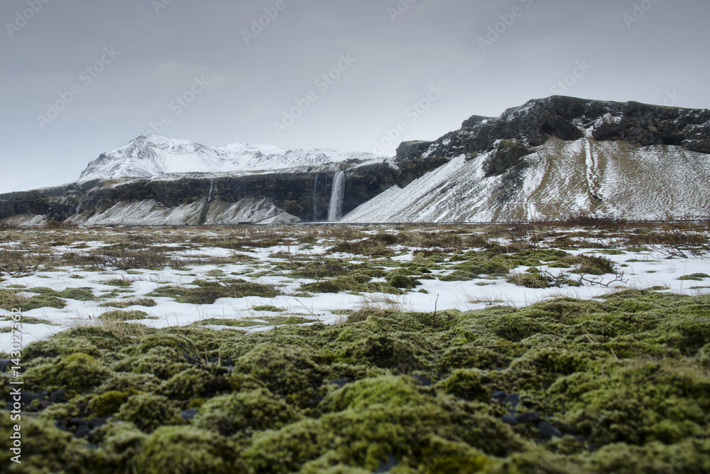 Green moss and grey Iceland landscape with waterfall