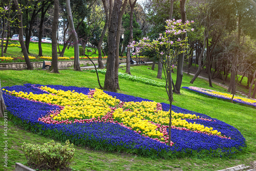 Flowers during the annual April tulip festival in Istanbul in Yildiz Park