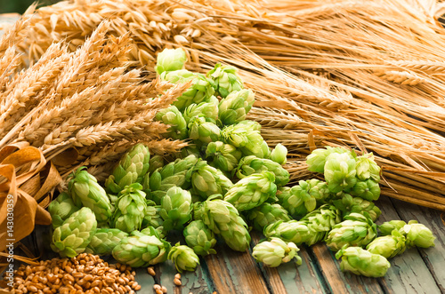 Green hops, malt, ears of barley and wheat grain