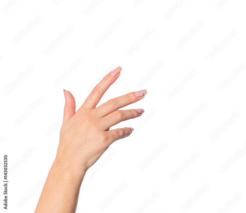 Female hand on a white background Female hand on a white background