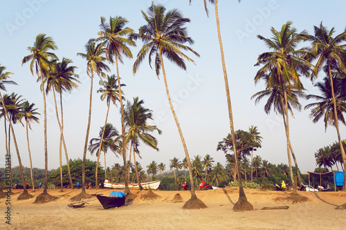 Big palm trees on empty evening beach of popular touristic Goa, India. Chilling mood landscape. © radiokafka