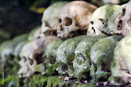 Cleaned skulls stacked under a banyan tree in the cemetery as per anciant Hindu Tradition in Trunyan, Bali, Indonesia © Visual Voyager