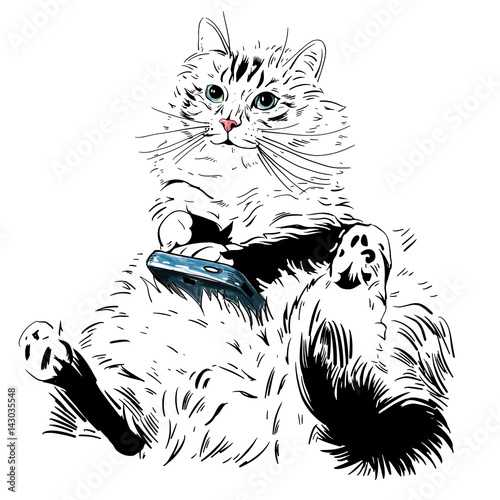 Sketch of a cat