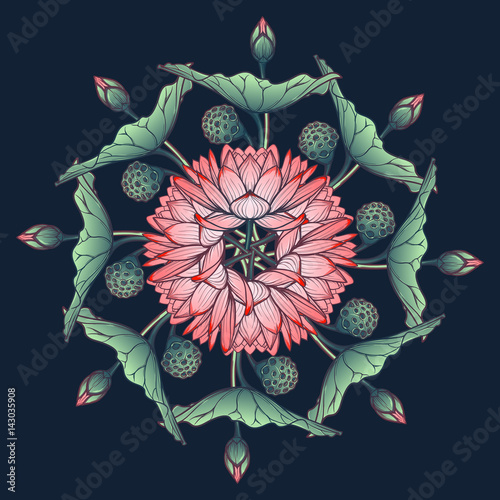 Lotus background. Floral decorative ornament. Water lilies arrenged in circular wreath isolated on deep blue background. EPS10 vector illustration. photo