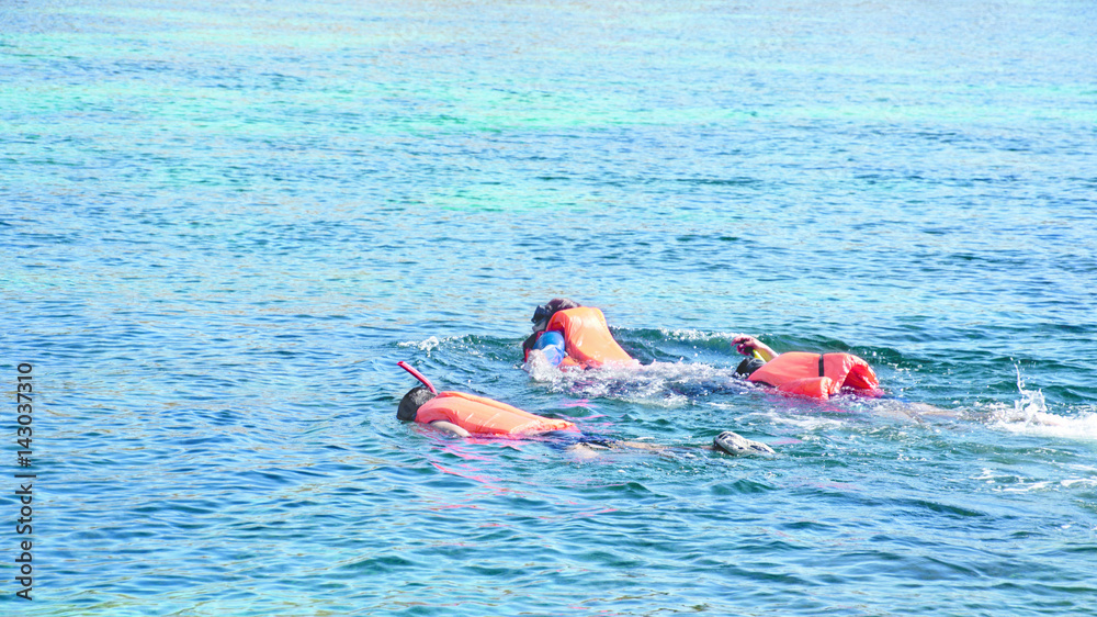 Group people snorkeling while swimming in blue water to see exotic fish under water wearing orange life jackets at midday.