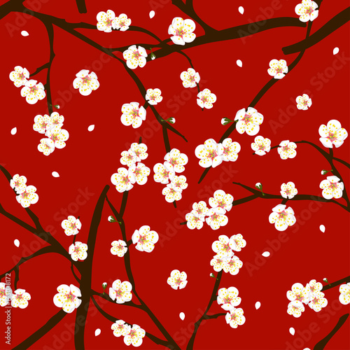 White Plum Blossom Flower on Red Background. Vector Illustration.