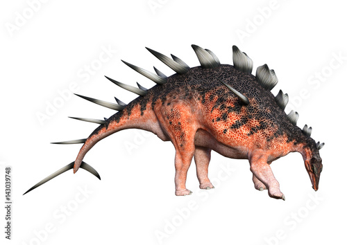 3D Rendering Dinosaur Kentrosaurus on White