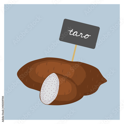 Vector Vegetable - Taro