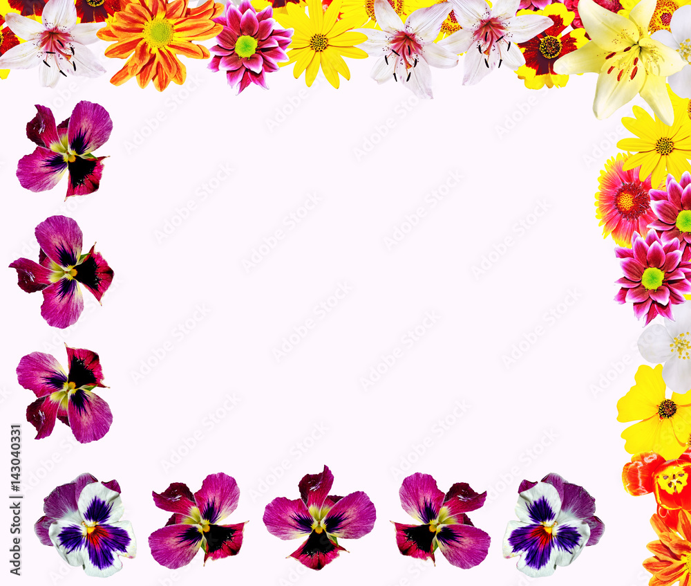 Colorful bright flowers isolated on white background
