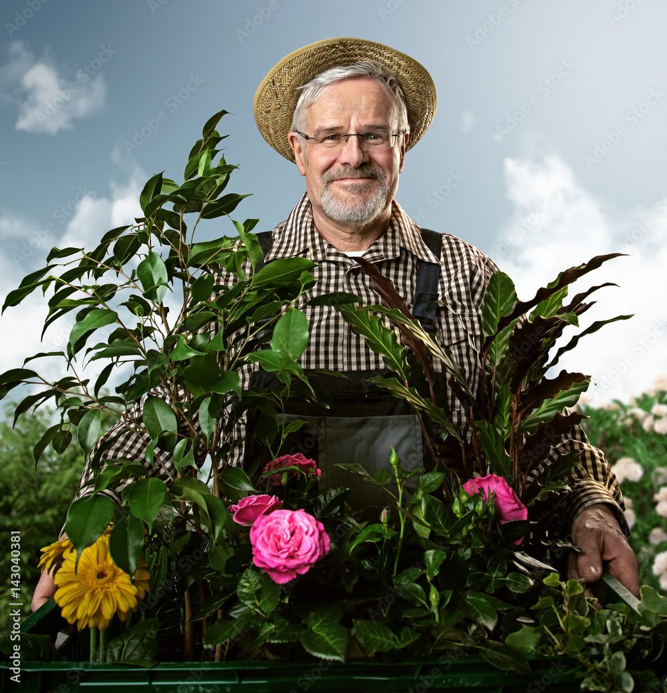 Glücklicher Gärtner mit Pflanzen Stock-Foto | Adobe Stock